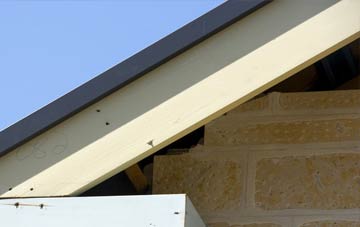 Shop Corner fascia repairs