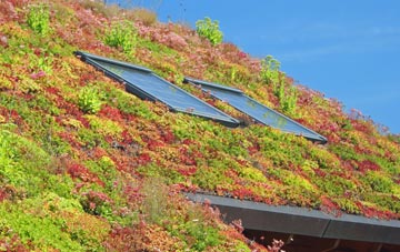 Shop Corner living roof systems